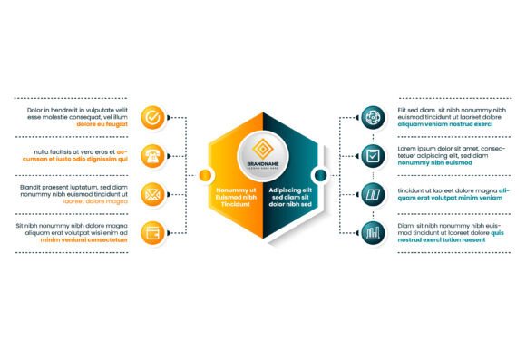 Hexagon Circle Infographics Graphics